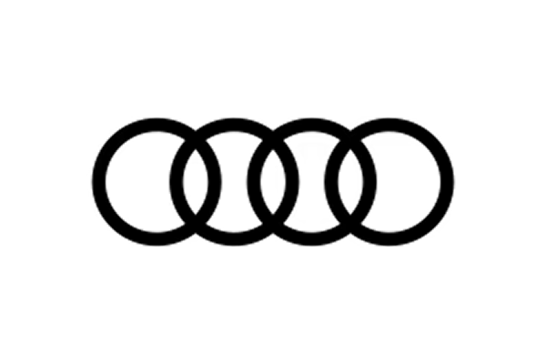 Partner Logo 3